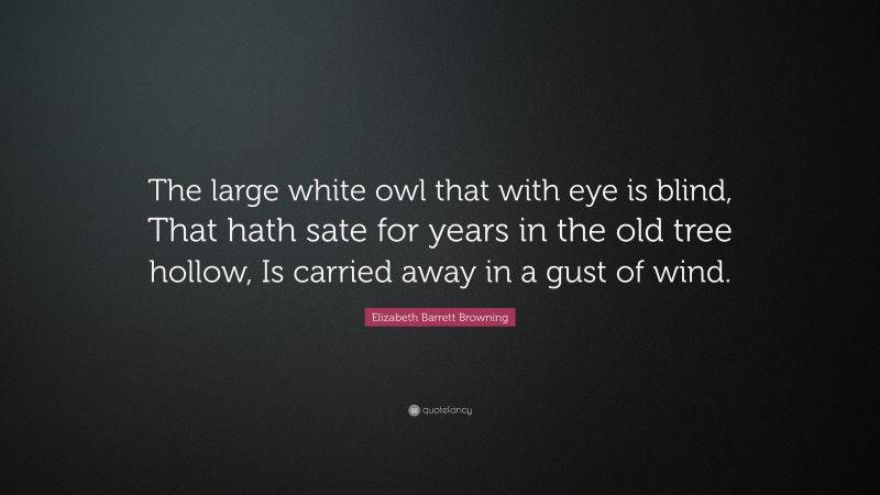 Elizabeth Barrett Browning Quote: “The large white owl that with eye is blind, That hath sate for years in the old tree hollow, Is carried away in a gust of wind.”