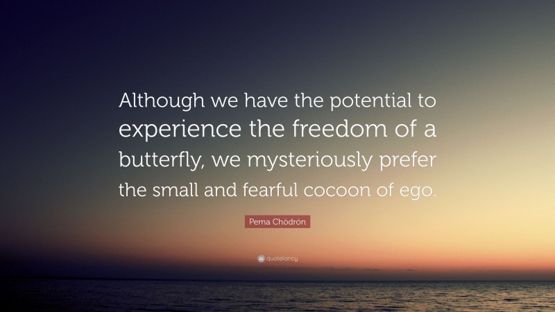 Pema Chödrön Quote: “Although we have the potential to experience the freedom of a butterfly, we mysteriously prefer the small and fearful cocoon of ego.”