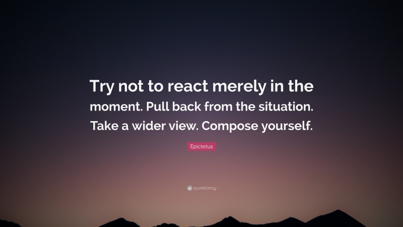 Epictetus Quote: “Try not to react merely in the moment. Pull back from the situation. Take a wider view. Compose yourself.”