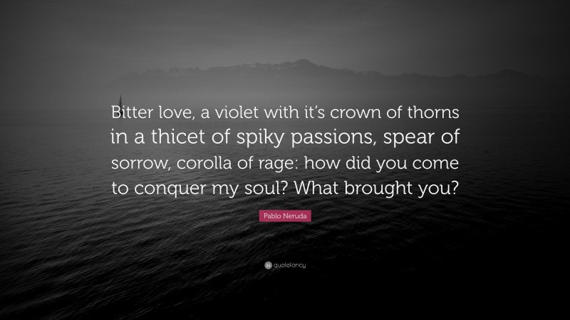 Pablo Neruda Quote: “Bitter love, a violet with it’s crown of thorns in a thicet of spiky passions, spear of sorrow, corolla of rage: how did you come to conquer my soul? What brought you?”