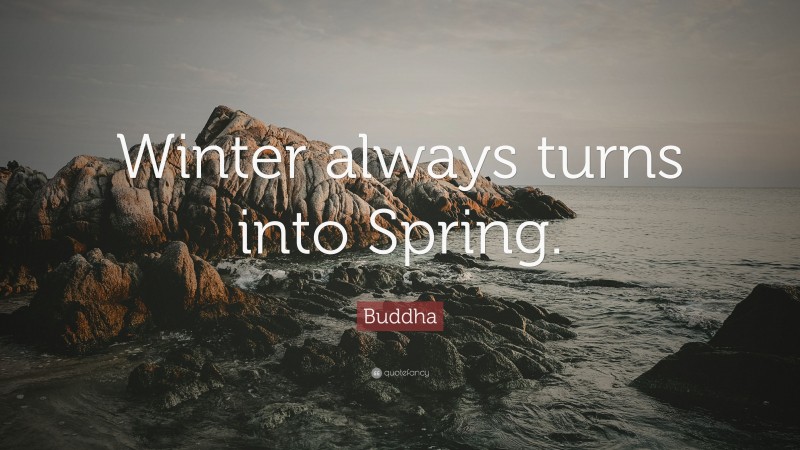 Buddha Quote: “Winter always turns into Spring.”