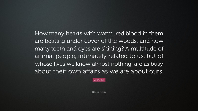 John Muir Quote: “How many hearts with warm, red blood in them are beating under cover of the woods, and how many teeth and eyes are shining? A multitude of animal people, intimately related to us, but of whose lives we know almost nothing, are as busy about their own affairs as we are about ours.”