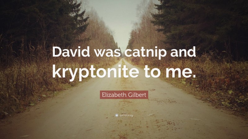 Elizabeth Gilbert Quote: “David was catnip and kryptonite to me.”
