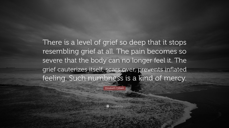 Elizabeth Gilbert Quote: “There is a level of grief so deep that it stops resembling grief at all. The pain becomes so severe that the body can no longer feel it. The grief cauterizes itself, scars over, prevents inflated feeling. Such numbness is a kind of mercy.”