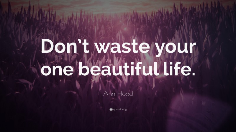 Ann Hood Quote: “Don’t waste your one beautiful life.”