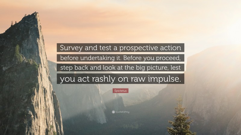 Epictetus Quote: “Survey and test a prospective action before undertaking it. Before you proceed, step back and look at the big picture, lest you act rashly on raw impulse.”