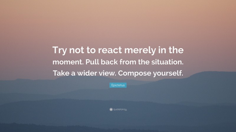 Epictetus Quote: “Try not to react merely in the moment. Pull back from the situation. Take a wider view. Compose yourself.”
