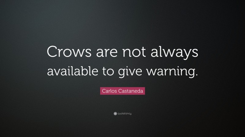 Carlos Castaneda Quote: “Crows are not always available to give warning.”