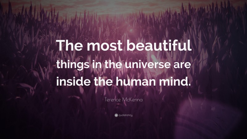 Terence McKenna Quote: “The most beautiful things in the universe are inside the human mind.”