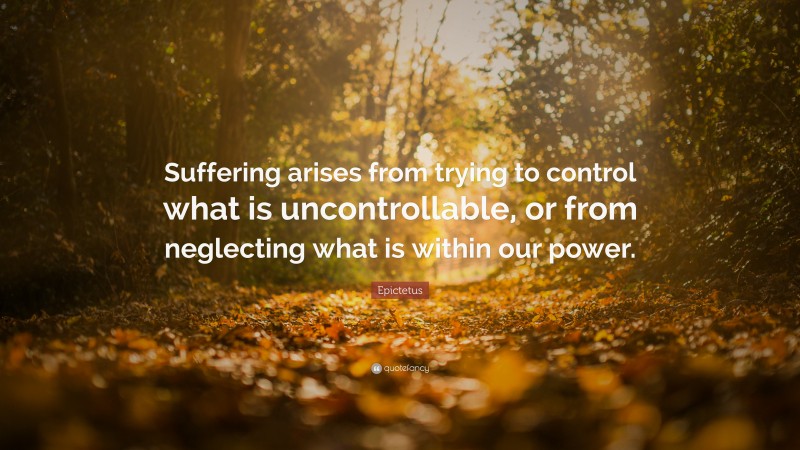 Epictetus Quote: “Suffering arises from trying to control what is uncontrollable, or from neglecting what is within our power.”