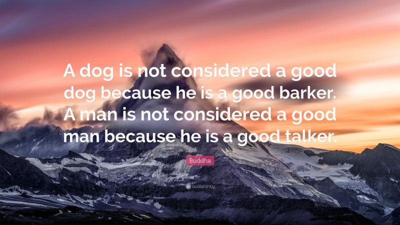 Buddha Quote: “A dog is not considered a good dog because he is a good barker. A man is not considered a good man because he is a good talker.”