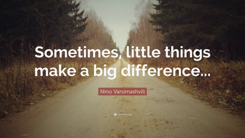 Nino Varsimashvili Quote: “Sometimes, little things make a big difference...”