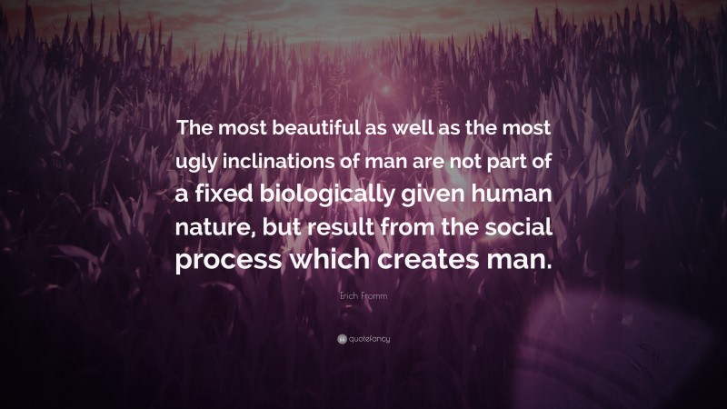 Erich Fromm Quote: “The most beautiful as well as the most ugly inclinations of man are not part of a fixed biologically given human nature, but result from the social process which creates man.”