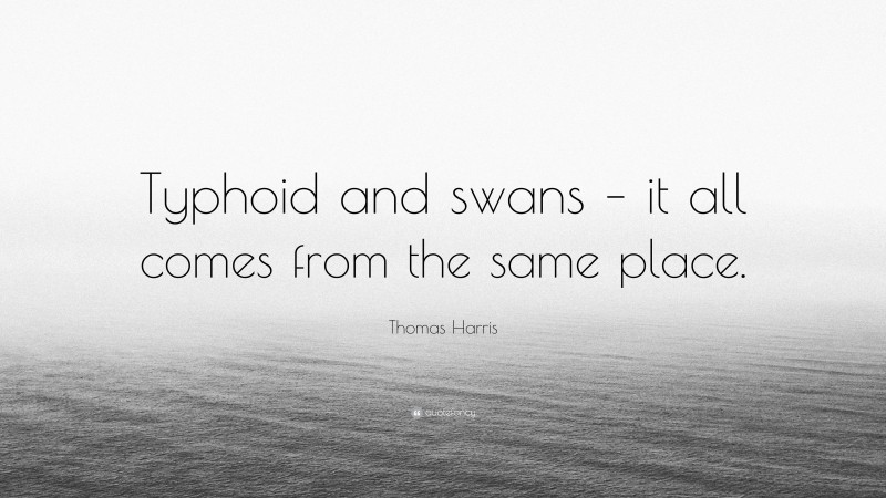 Thomas Harris Quote: “Typhoid and swans – it all comes from the same place.”