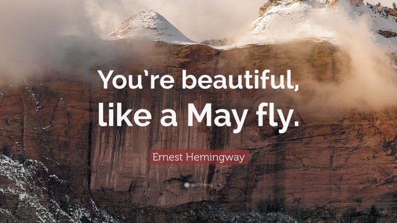 Ernest Hemingway Quote: “You’re beautiful, like a May fly.”