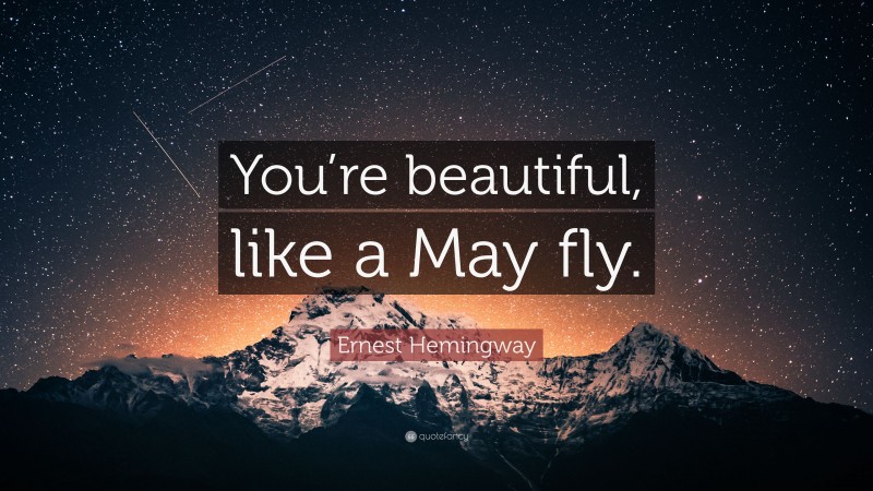 Ernest Hemingway Quote: “You’re beautiful, like a May fly.”