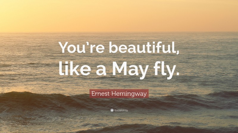 Ernest Hemingway Quote: “You’re beautiful, like a May fly.”
