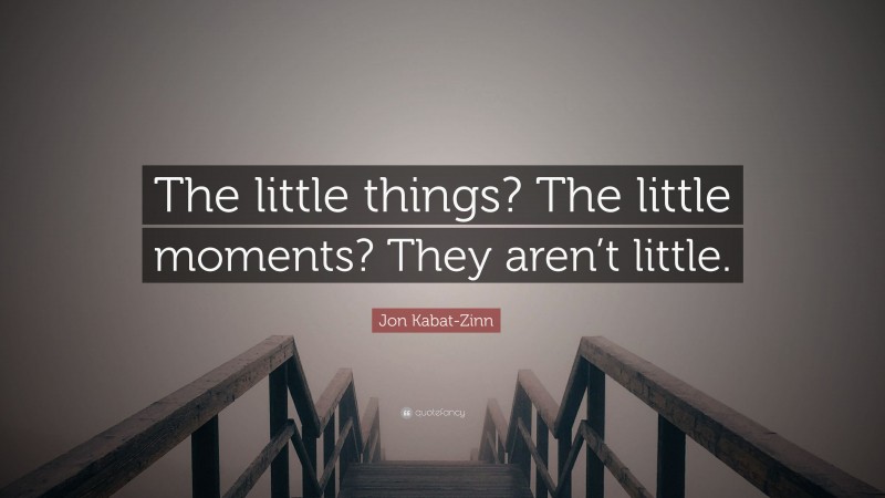 Jon Kabat-Zinn Quote: “The little things? The little moments? They aren’t little.”