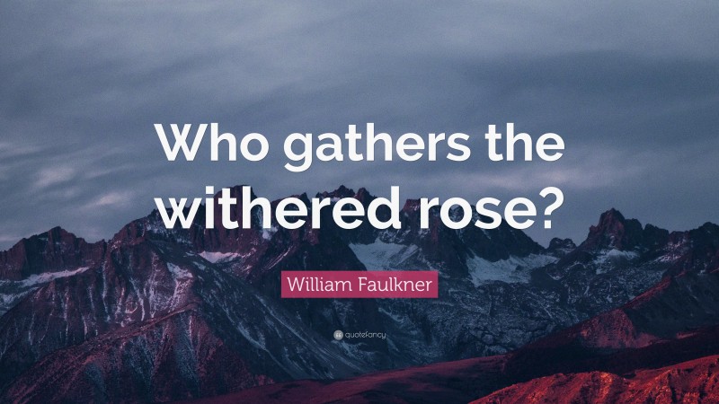 William Faulkner Quote: “Who gathers the withered rose?”