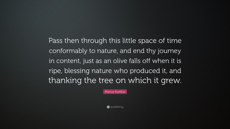 Marcus Aurelius Quote: “Pass then through this little space of time conformably to nature, and end thy journey in content, just as an olive falls off when it is ripe, blessing nature who produced it, and thanking the tree on which it grew.”