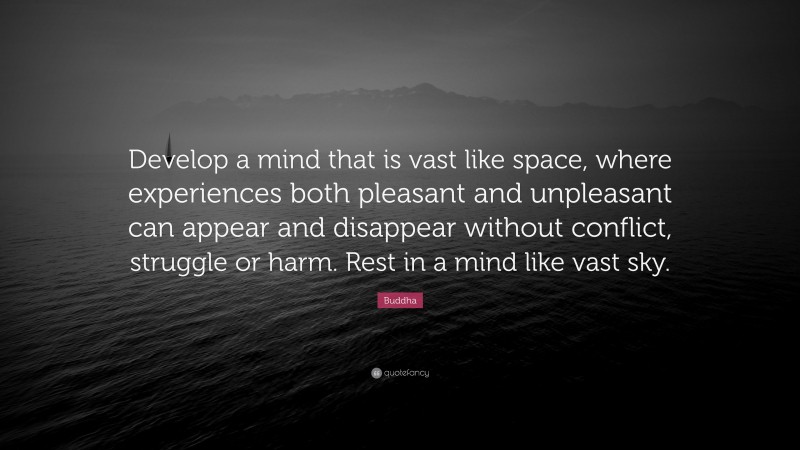 Buddha Quote: “Develop a mind that is vast like space, where experiences both pleasant and unpleasant can appear and disappear without conflict, struggle or harm. Rest in a mind like vast sky.”