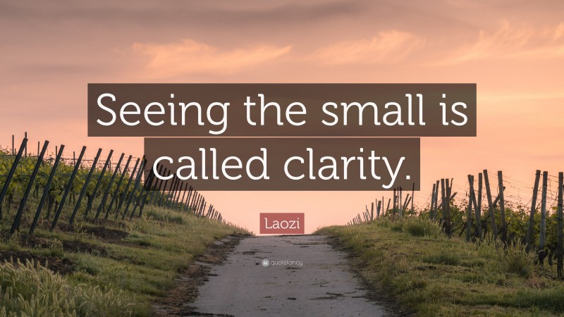 Laozi Quote: “Seeing the small is called clarity.”