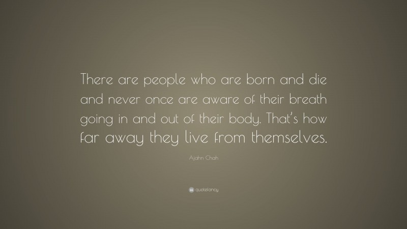 Ajahn Chah Quote: “There are people who are born and die and never once are aware of their breath going in and out of their body. That’s how far away they live from themselves.”