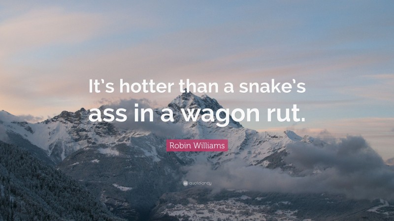 Robin Williams Quote: “It’s hotter than a snake’s ass in a wagon rut.”