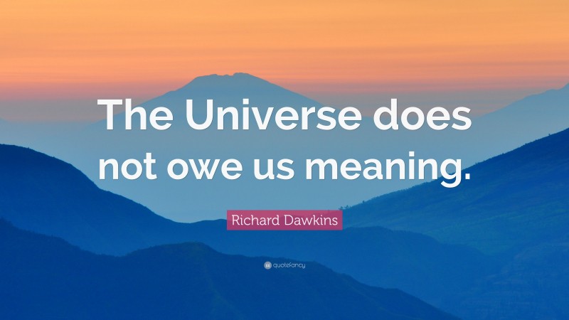 Richard Dawkins Quote: “The Universe does not owe us meaning.”