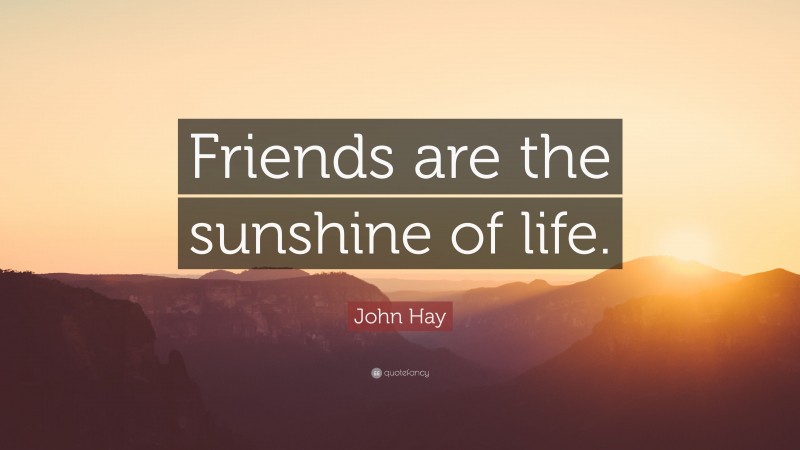 John Hay Quote: “Friends are the sunshine of life.”