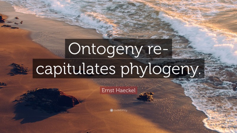 Ernst Haeckel Quote: “Ontogeny re-capitulates phylogeny.”