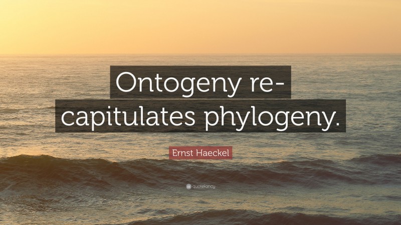 Ernst Haeckel Quote: “Ontogeny re-capitulates phylogeny.”