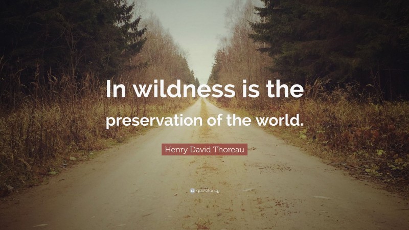 Henry David Thoreau Quote: “In wildness is the preservation of the world.”