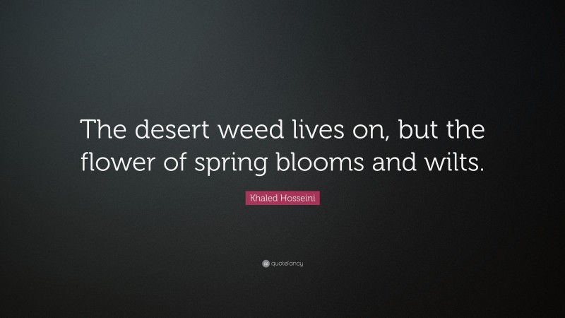 Khaled Hosseini Quote: “The desert weed lives on, but the flower of spring blooms and wilts.”