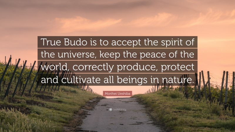 Morihei Ueshiba Quote: “True Budo is to accept the spirit of the universe, keep the peace of the world, correctly produce, protect and cultivate all beings in nature.”