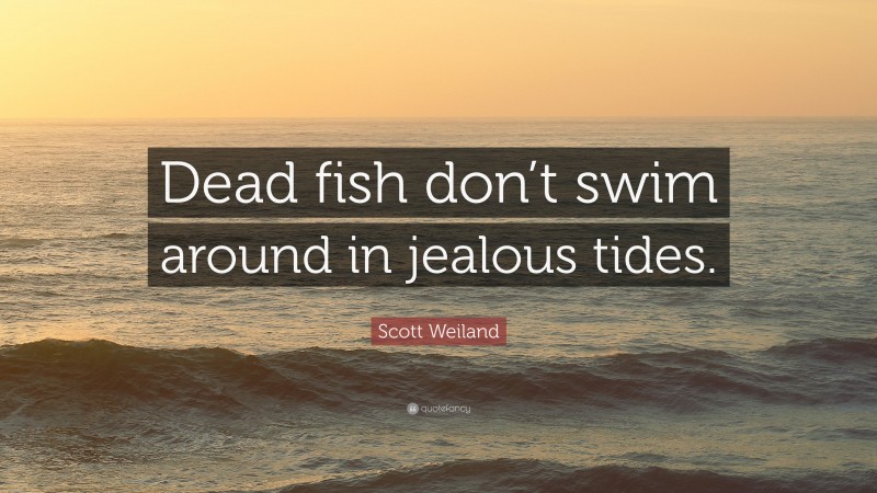 Scott Weiland Quote: “Dead fish don’t swim around in jealous tides.”