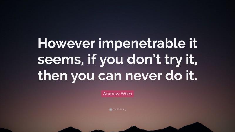 Andrew Wiles Quote: “However impenetrable it seems, if you don’t try it, then you can never do it.”