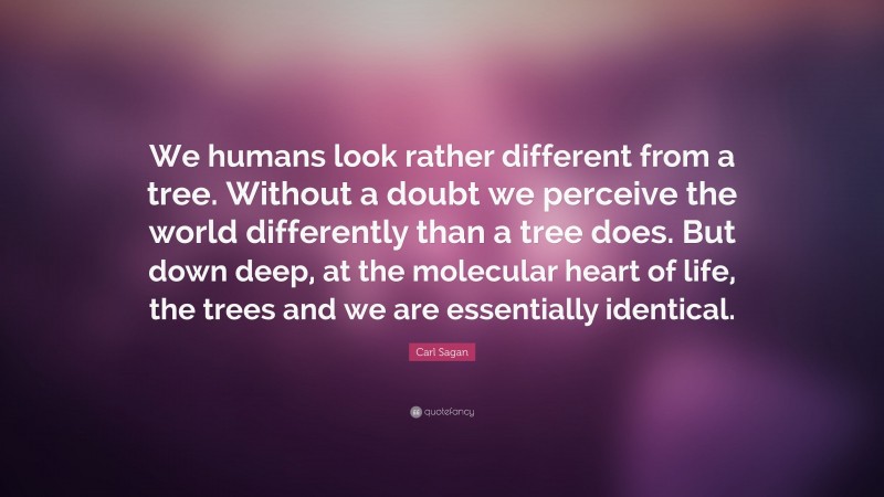 Carl Sagan Quote: “We humans look rather different from a tree. Without a doubt we perceive the world differently than a tree does. But down deep, at the molecular heart of life, the trees and we are essentially identical.”