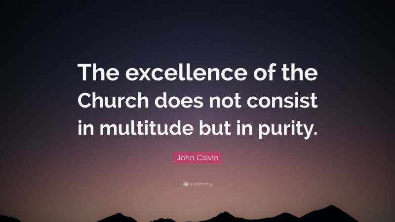 John Calvin Quote: “The excellence of the Church does not consist in multitude but in purity.”