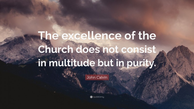 John Calvin Quote: “The excellence of the Church does not consist in multitude but in purity.”