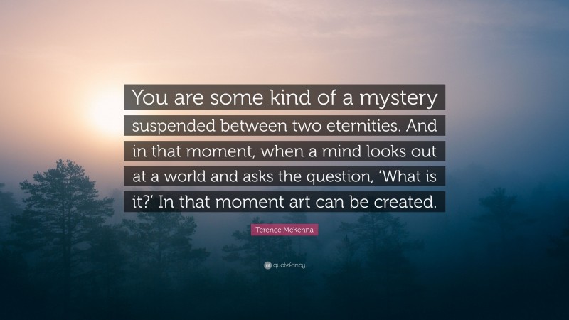 Terence McKenna Quote: “You are some kind of a mystery suspended between two eternities. And in that moment, when a mind looks out at a world and asks the question, ‘What is it?’ In that moment art can be created.”