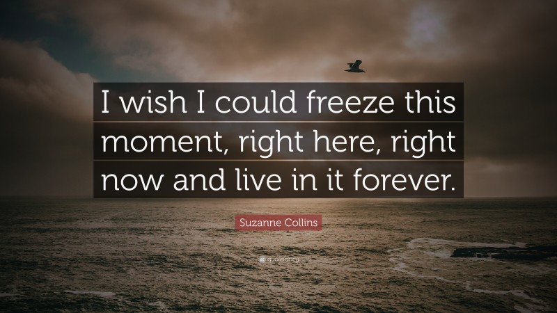Suzanne Collins Quote: “I wish I could freeze this moment, right here, right now and live in it forever.”