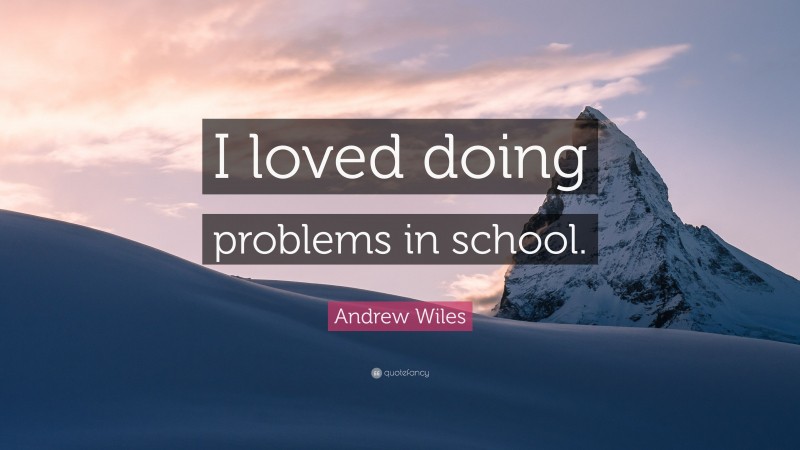Andrew Wiles Quote: “I loved doing problems in school.”