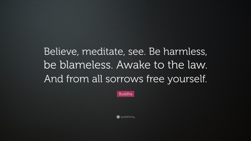 Buddha Quote: “Believe, meditate, see. Be harmless, be blameless. Awake to the law. And from all sorrows free yourself.”