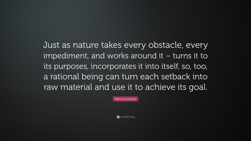 Marcus Aurelius Quote: “Just as nature takes every obstacle, every impediment, and works around it – turns it to its purposes, incorporates it into itself, so, too, a rational being can turn each setback into raw material and use it to achieve its goal.”