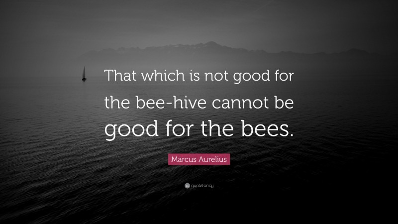 Marcus Aurelius Quote: “That which is not good for the bee-hive cannot be good for the bees.”