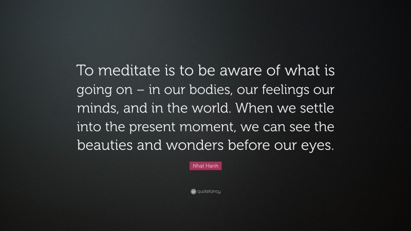 Nhat Hanh Quote: “To meditate is to be aware of what is going on – in our bodies, our feelings our minds, and in the world. When we settle into the present moment, we can see the beauties and wonders before our eyes.”
