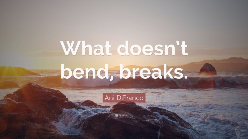 Ani DiFranco Quote: “What doesn’t bend, breaks.”