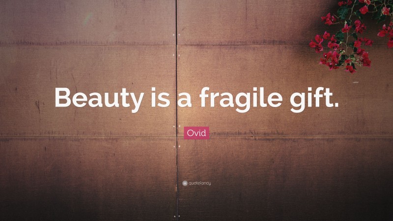Ovid Quote: “Beauty is a fragile gift.”