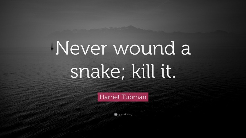Harriet Tubman Quote: “Never wound a snake; kill it.”